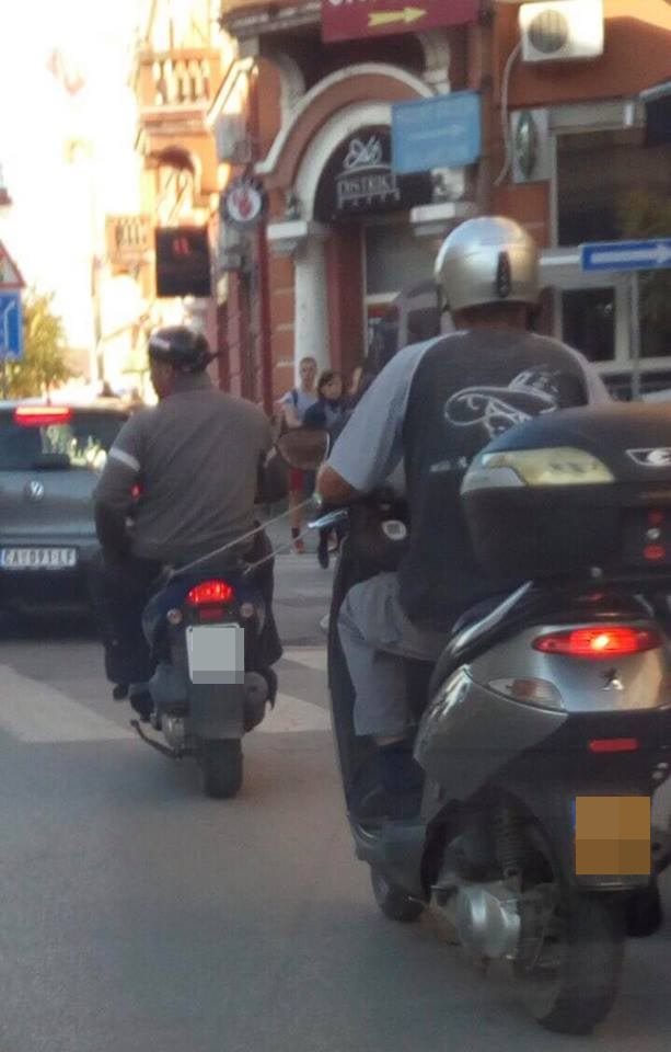 motori