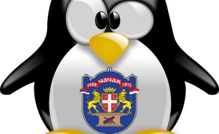 pingvin-1