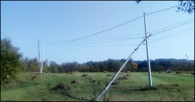 bandera-1