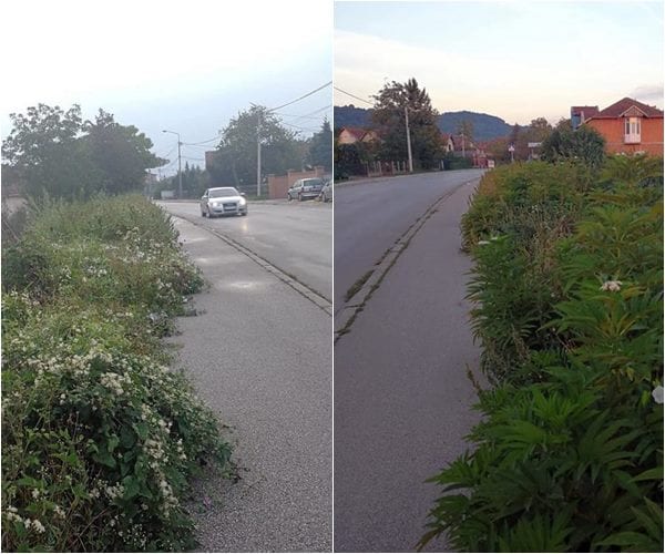 Ulaz u Čačak: Šta rade gradske službe i policija (FOTO) 3 korov4