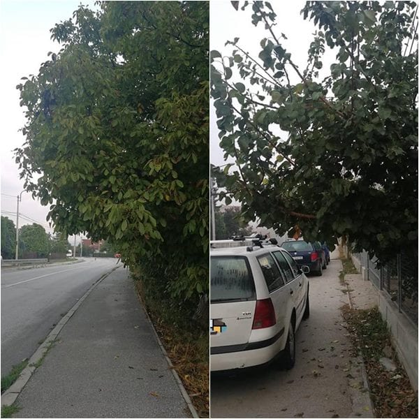 Ulaz u Čačak: Šta rade gradske službe i policija (FOTO) 2 korov5