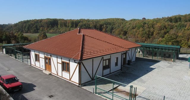 Azil za nezbrinute životinje nije doveo do smanjenja ujeda pasa (FOTO) 1 azil