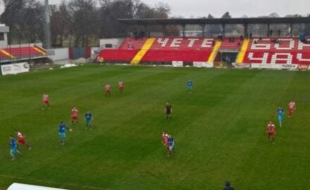 Borac