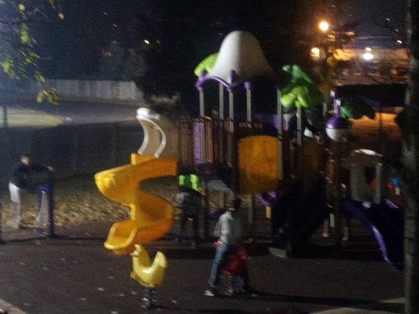 Mali&veliki vandali po ko zna koji put u akciji 1 igraliste