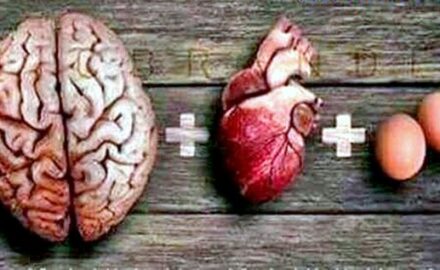 mozak