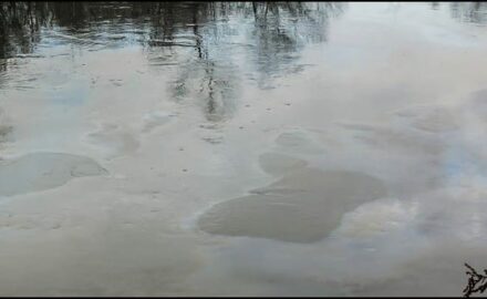 Morava-januar-4