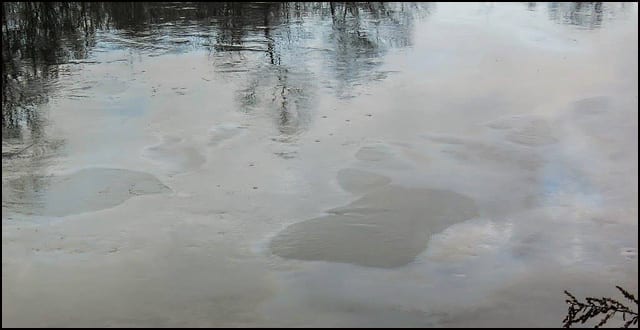 Morava-januar-4