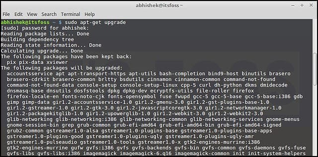 Using-apt-get-commands-linux-12