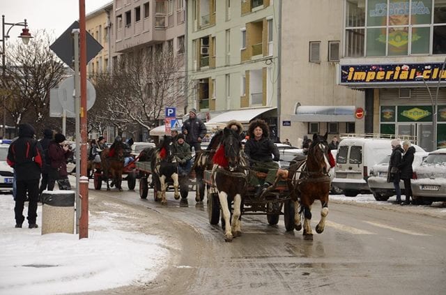 bozic3