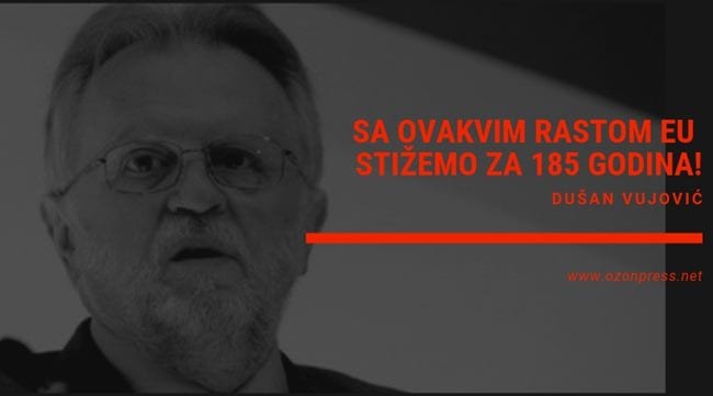 Bivši ministar Vujović: Sumorna slika srpske ekonomije 1 dusan vujovic