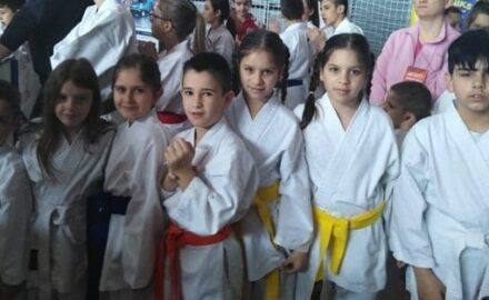 karate nemanja