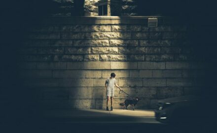 boy-and-dog