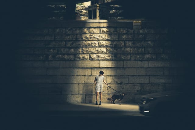 boy-and-dog