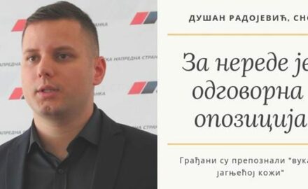 Dusan Radojević