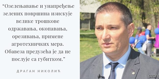 Nikolić: Besmislene tvrdnje o pljačkanju grada preko sadnica 1 nikolic