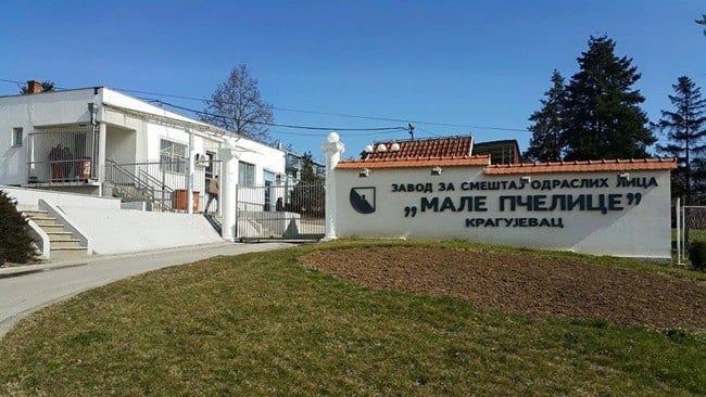 Čačak poslao pomoć Pčelicama 2 pcelice