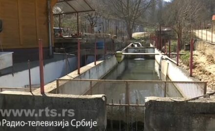 ribnjaci u Čačku