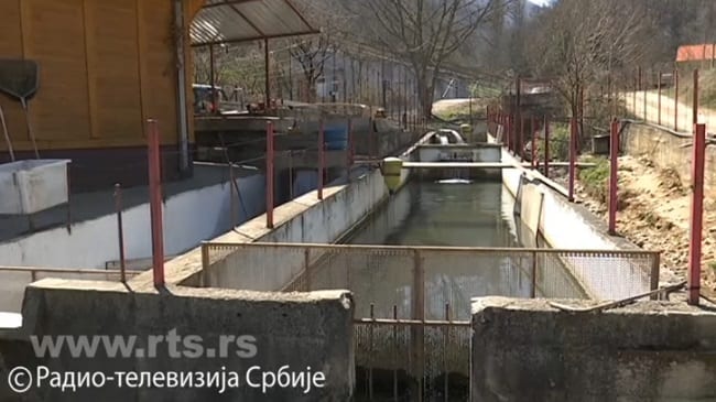 Ribnjaci u čačanskom kraju 3 ribari4