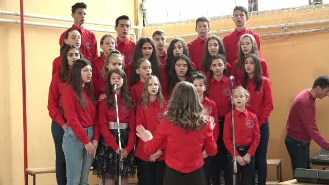 stepa skola5
