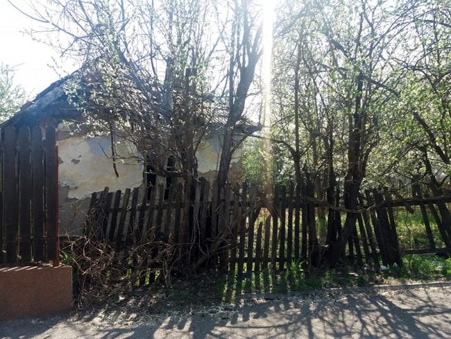 Šta kad komšija ne održava dvorište? 3 dvoriste4