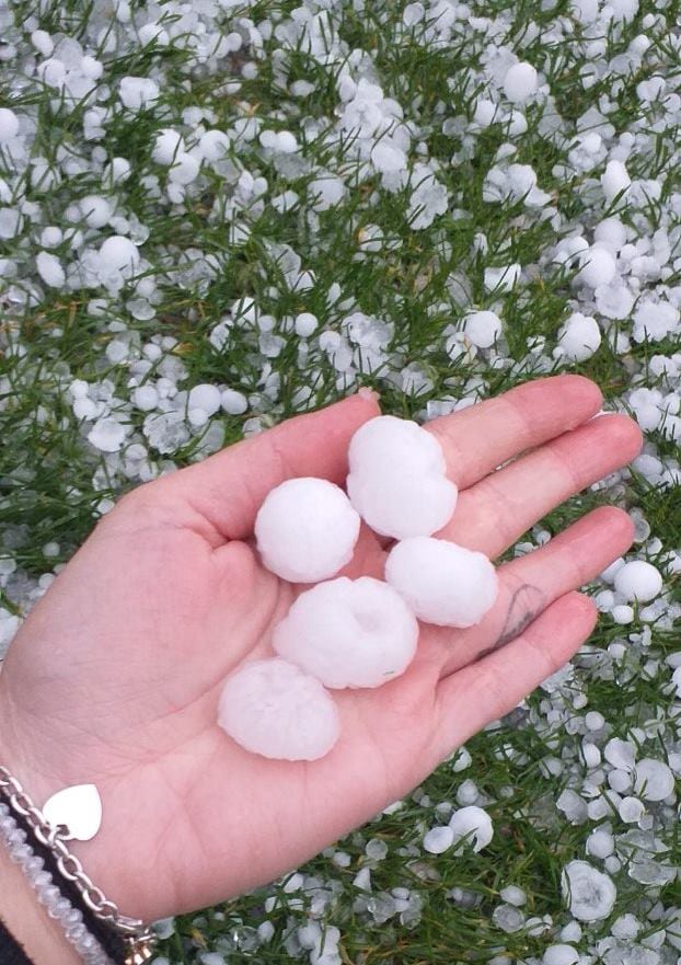 Šteta na voćnjacima potpuna, oporavljaće se i naredne godine 1 grad 2