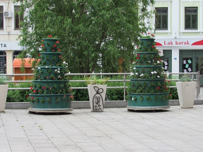 premijerka5