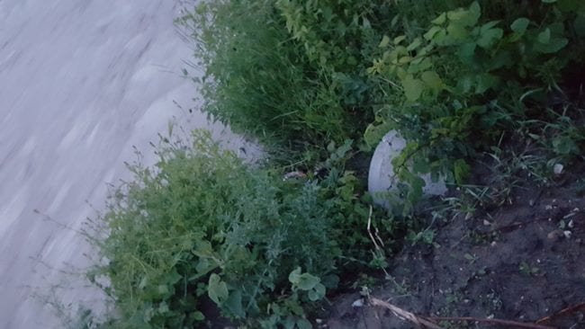 Otaljali posao, meštani dežuraju pored Morave 1 cev
