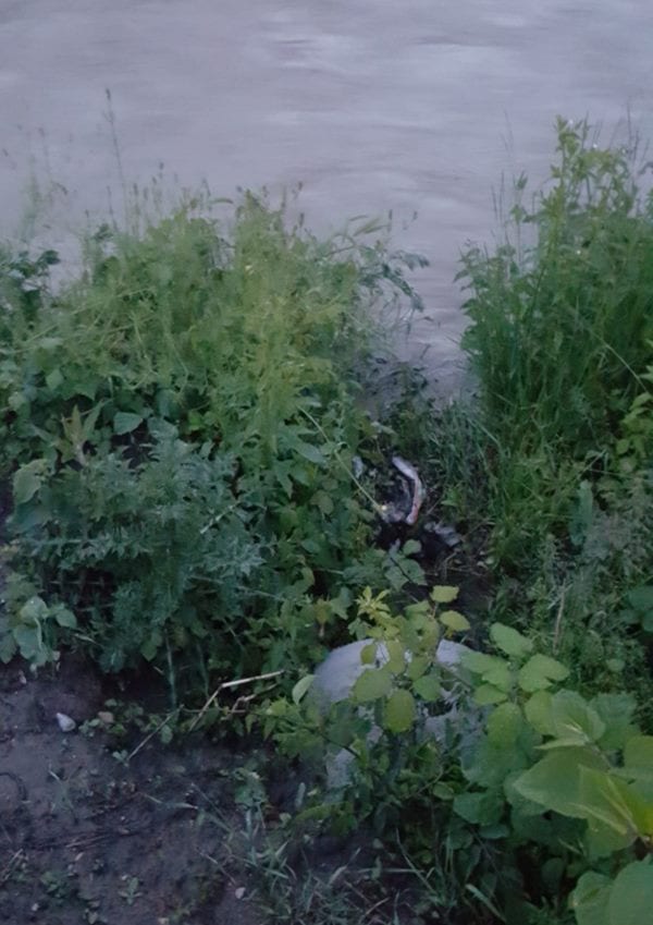 Otaljali posao, meštani dežuraju pored Morave 2 cev1