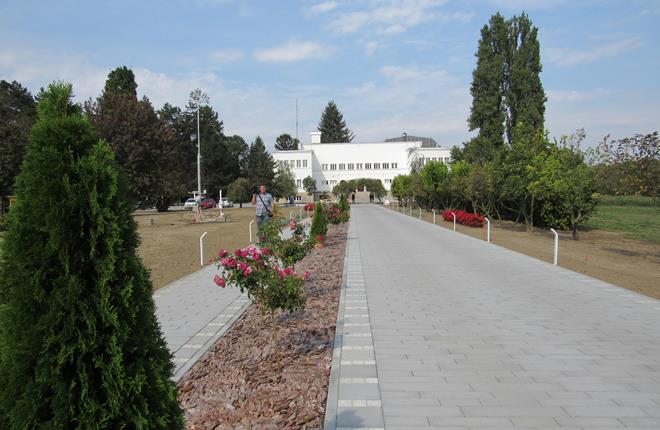 Čačanski Institut radi na razvoju veštačkog čula mirisa 1 institut