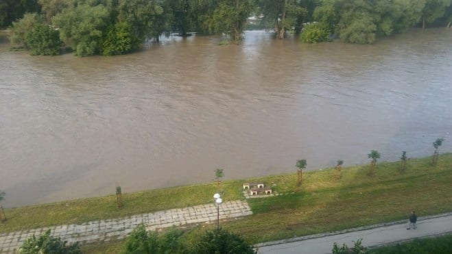 Zapadna Morava van korita (FOTO, VIDEO) 3 morava3