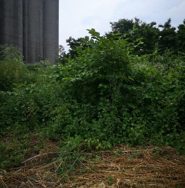 silos4
