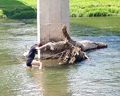 Kad neće nadležni: Sugrađanka pokušala da ukloni drvo ispod mosta 1 drvo1