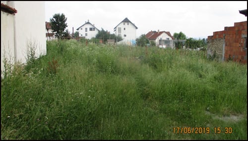 korov 3
