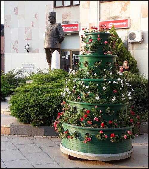 saksije 3