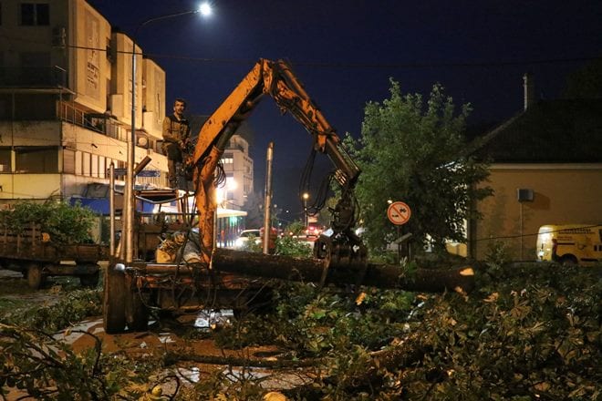 Olujno nevreme čupalo drveće u Guči (FOTO) 1 GUCA NEVREME POSLEDICE 02082019 MNA MILOS LUKIC 01