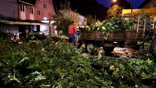 Olujno nevreme čupalo drveće u Guči (FOTO) 3 GUCA NEVREME POSLEDICE 02082019 MNA MILOS LUKIC 04
