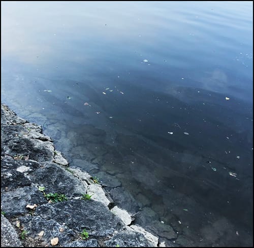 Morava ulje 2