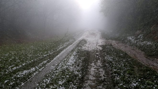 Olujno nevreme čupalo drveće u Guči (FOTO) 6 grad1