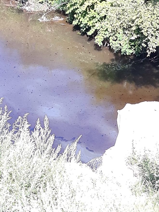Naftne mrlje stižu i iz Ivanjice (FOTO, VIDEO) 1 moravica1
