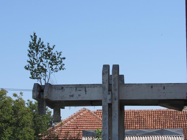 vojni odsek13