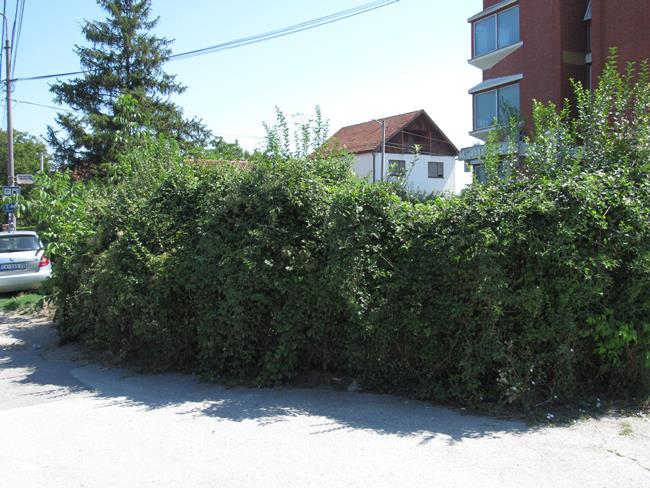 vojni odsek7
