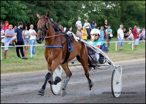 IAN JANIS A.T. ž od Amiral Sund IlaryBaltic Speed