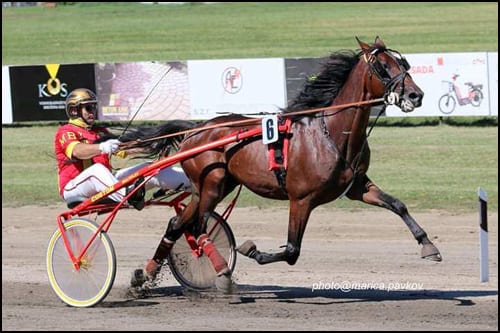 MONTECATINI m d Lucky Boy Miss Giulia i Cantab Hall
