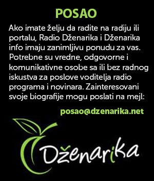 Ponude za zaposlenje 1 dzenarika 300