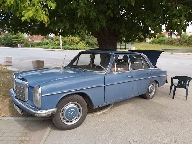 Preko 40 godina prodaje grožđe iz Trstenika u Atenici 5 grozdje2