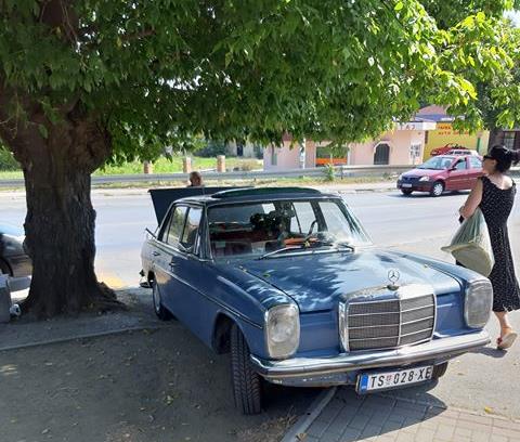 Preko 40 godina prodaje grožđe iz Trstenika u Atenici 3 grozdje4