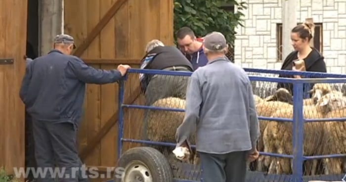 Zadruge osnažile sela oko Kosjerića 1 kosjeric2