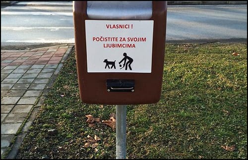 pas vlasnici