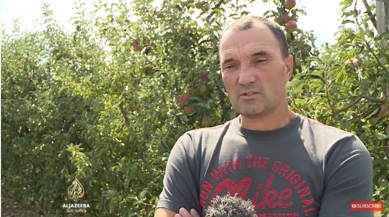 zoran jelic