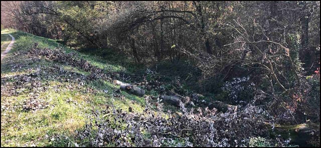 drvoseče 4a